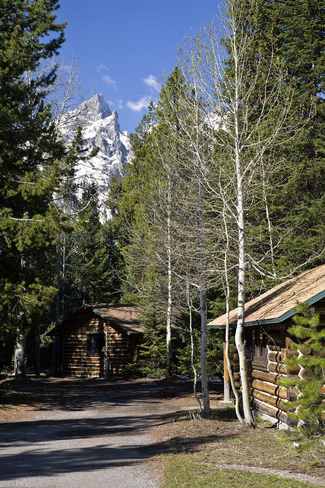 Jenny Lake Lodge Beaver Creek Exterior foto